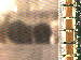 SurveyImage_05_03.png