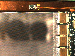 SurveyImage_05_04.png
