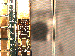 SurveyImage_06_03.png
