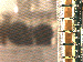SurveyImage_07_03.png