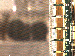 SurveyImage_09_03.png