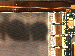 SurveyImage_09_04.png