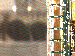 SurveyImage_11_03.png