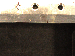 SurveyImage_12_06.png