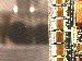 SurveyImage_13_03.png