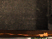 SurveyImage_15_05.png