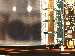 SurveyImage_17_02.png