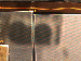 SurveyImage_24_04.png