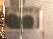 SurveyImage_26_03.png