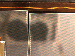 SurveyImage_26_04.png