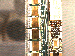 SurveyImage_29_03.png