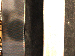 SurveyImage_30_03.png