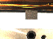 SurveyImage_05_01.png
