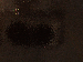 SurveyImage_07_03.png