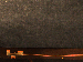 SurveyImage_10_05.png