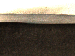 SurveyImage_10_06.png