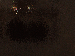 SurveyImage_12_03.png