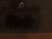 SurveyImage_23_03.png