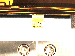 SurveyImage_24_01.png