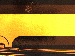 SurveyImage_24_02.png