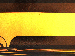 SurveyImage_26_02.png