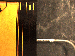 SurveyImage_28_04.png