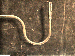 SurveyImage_29_02.png