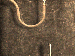 SurveyImage_29_03.png