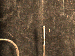 SurveyImage_29_04.png