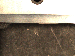 SurveyImage_29_06.png