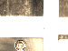 SurveyImage_30_01.png