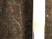 SurveyImage_30_03.png