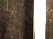 SurveyImage_30_04.png