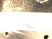 SurveyImage_01_01.png