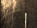 SurveyImage_01_04.png