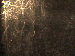 SurveyImage_01_05.png