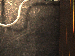 SurveyImage_02_03.png