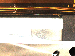 SurveyImage_09_01.png