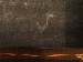 SurveyImage_09_05.png