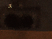 SurveyImage_10_03.png
