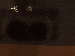 SurveyImage_11_03.png