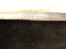 SurveyImage_11_06.png