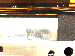 SurveyImage_13_01.png
