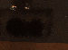 SurveyImage_13_03.png
