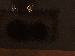 SurveyImage_15_03.png