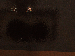 SurveyImage_16_03.png