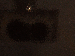 SurveyImage_22_03.png