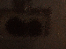 SurveyImage_26_03.png