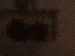 SurveyImage_27_03.png