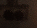 SurveyImage_29_03.png